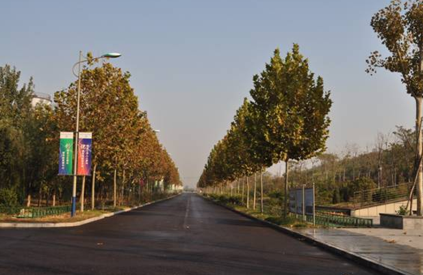 濟(jì)南市生活廢棄物處理中心封場一期工程景觀綠化施工第一標(biāo)段