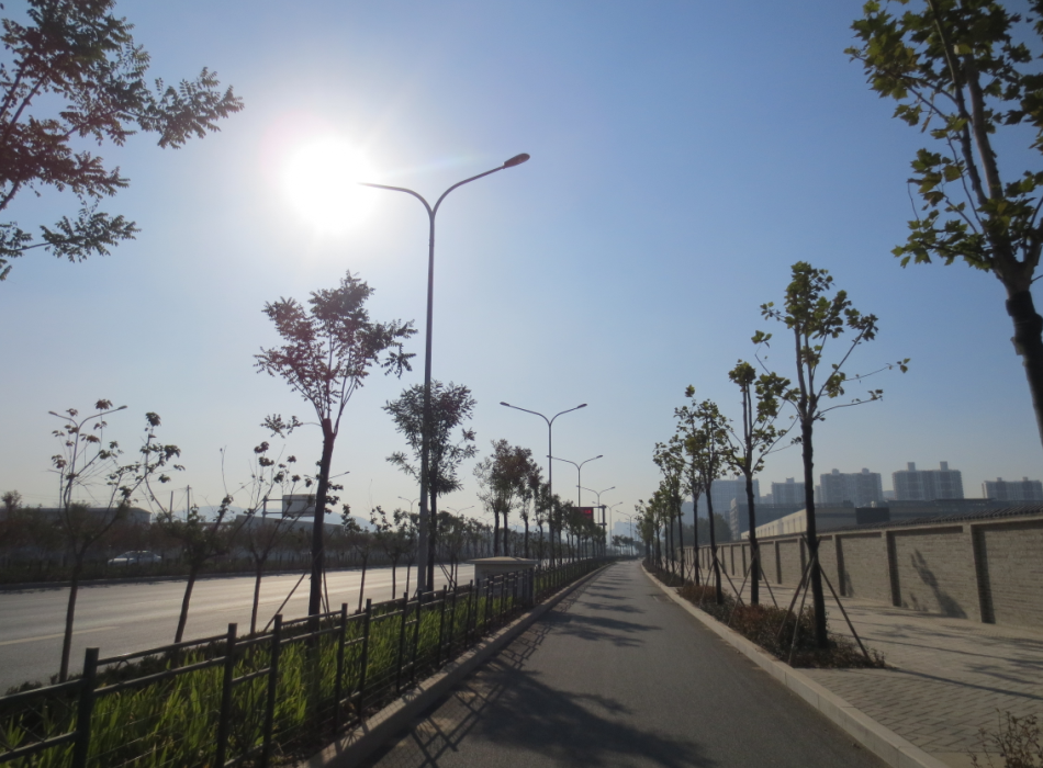 濟南市鳳凰路道路建設工程綠化施工一標段